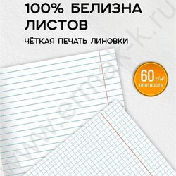 Тетрадь предметная 48л Набор 12шт "Calligraphy" /мат.лам, выб.лак/ | Фото 5