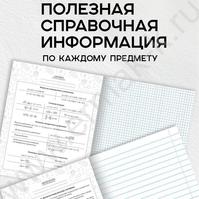 Тетрадь предметная 48л Набор 12шт "Calligraphy" /мат.лам, выб.лак/ NEW | Фото 7