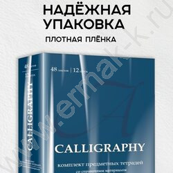 Тетрадь предметная 48л Набор 12шт "Calligraphy" /мат.лам, выб.лак/ | Фото 8