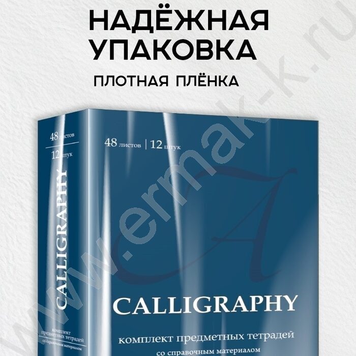 Тетрадь предметная 48л Набор 12шт "Calligraphy" /мат.лам, выб.лак/ NEW | Фото 8