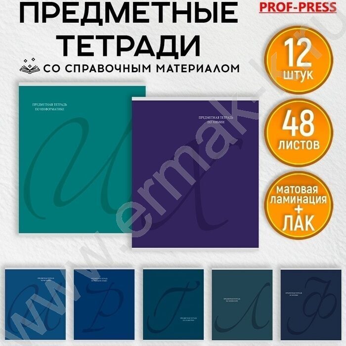 Тетрадь предметная 48л Набор 12шт "Calligraphy" /мат.лам, выб.лак/ NEW | Фото 9