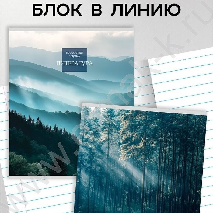 Тетрадь предметная 48л Набор 12шт "Gold nature" /софт-тач/ NEW | Фото 2