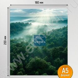 Тетрадь предметная 48л Набор 12шт "Gold nature" /софт-тач/ | Фото 4