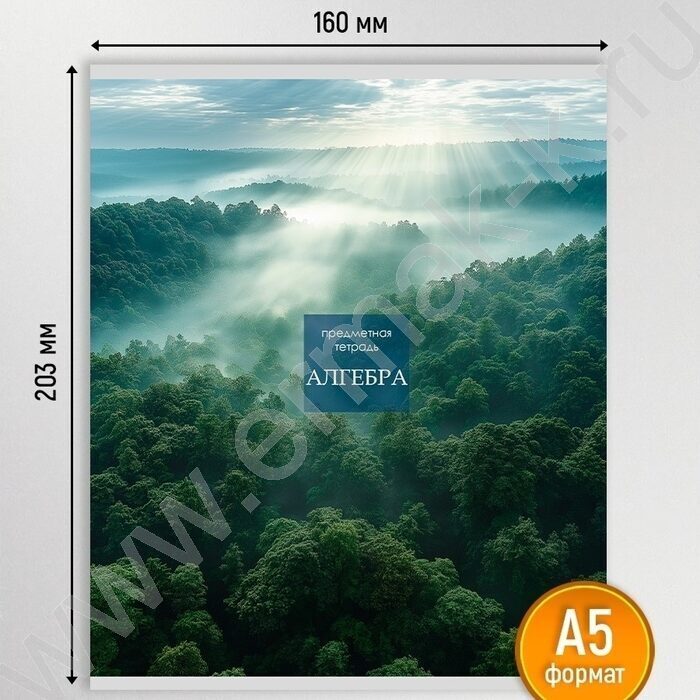 Тетрадь предметная 48л Набор 12шт "Gold nature" /софт-тач/ NEW | Фото 4