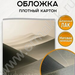 Тетрадь предметная 48л Набор 12шт "Дюна" /мат.лам, выб.лак/ | Фото 5