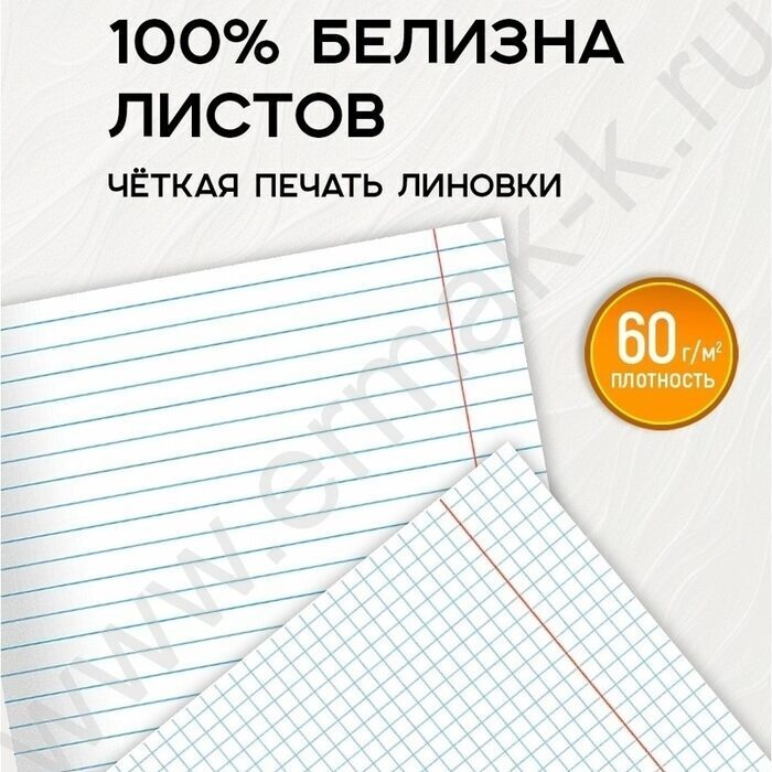 Тетрадь предметная 48л Набор 12шт "Дюна" /мат.лам, выб.лак/ NEW | Фото 6