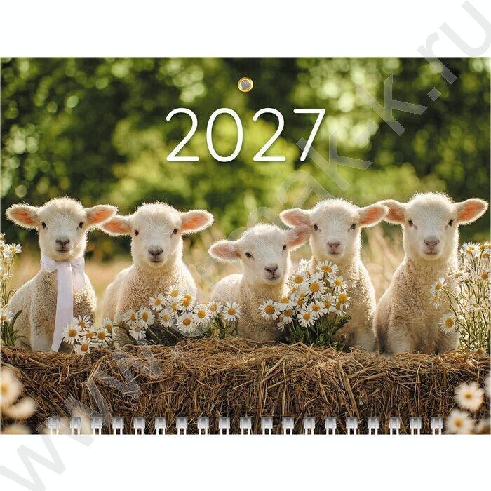 Календарь квартальный на 3-х гребнях/3месяца/ 2027г мини "Знак Года_барашки" NEW | Фото 1