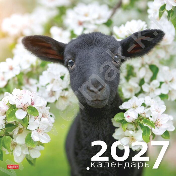 Календарь настенный перекидной  6л 30х30см скрепка 2027г "Знак Года" NEW | Фото 1