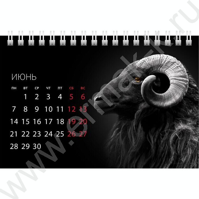 Календарь-домик горизонт/спираль 2027г "Знак Года" NEW | Фото 2