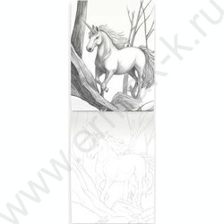 Раскраска 140*200 Мистика.Фентези Миры | Фото 2