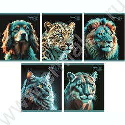 Тетрадь  48л клетка "Neon Animals/Неоновые Животные" /мел.карт. /ассорти NEW | Фото 1