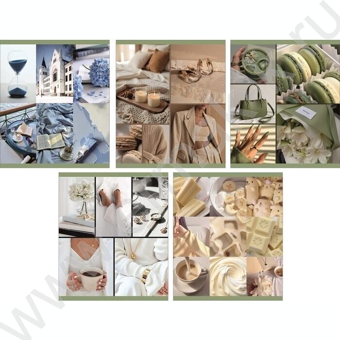 Тетрадь  48л клетка "Цвет настроения" /мел.карт. /ассорти NEW | Фото 1