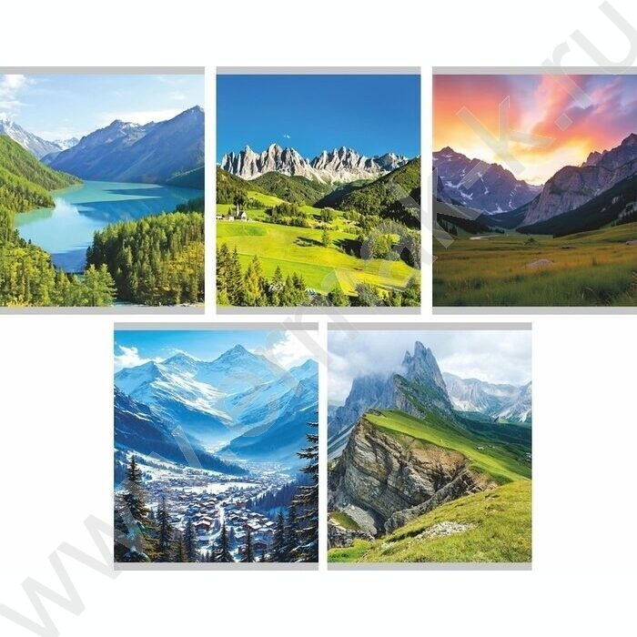 Тетрадь  96л клетка "Природа" /мел.карт. /закруглен.углы /ассорти NEW | Фото 1
