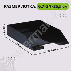 Лоток вертикальный разборный /серый,250мм/ 2отд. | Фото 2