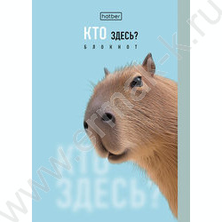 Блокнот  32л А6 "Кто здесь?" /глянц. ламин./ ассорти NEW | Фото 1