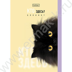 Блокнот  32л А6 "Кто здесь?" /глянц. ламин./ ассорти NEW | Фото 4