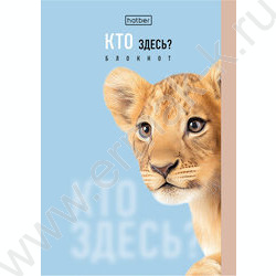 Блокнот  32л А6 "Кто здесь?" /глянц. ламин./ ассорти NEW | Фото 7