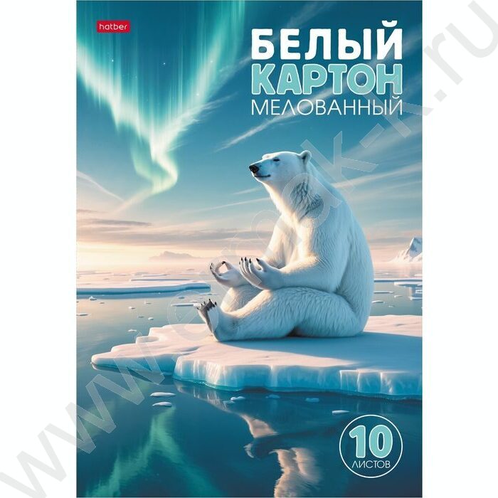 Картон белый А4 10л мелованный "Полярный мыслитель" NEW | Фото 1
