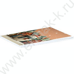 Блокнот  40л А6 "Кот зимой" /клетка,глянц.лам.,мягкий переплёт (1 скоба) NEW | Фото 2