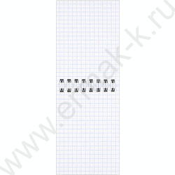 Блокнот  40л А7 спираль "Милашка с котёнком" /УФ-лак сплошной/клетка NEW | Фото 4