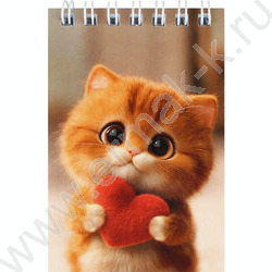 Блокнот  40л А7 спираль "Котик с сердечком" /УФ-лак сплошной/клетка NEW | Фото 1