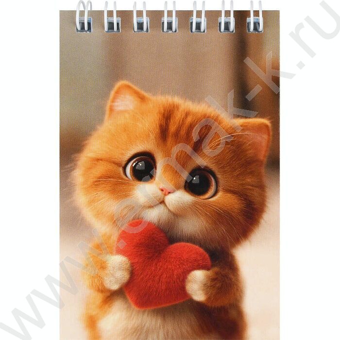 Блокнот  40л А7 спираль "Котик с сердечком" /УФ-лак сплошной/клетка NEW | Фото 1