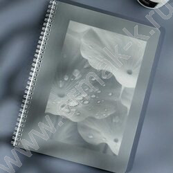Тетрадь  80л А4 клетка/спираль/пластик обл./ "Капли на листьях" NEW | Фото 7