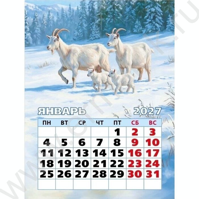 Календарь на магните отрывной 2027г "Символ года" NEW | Фото 2