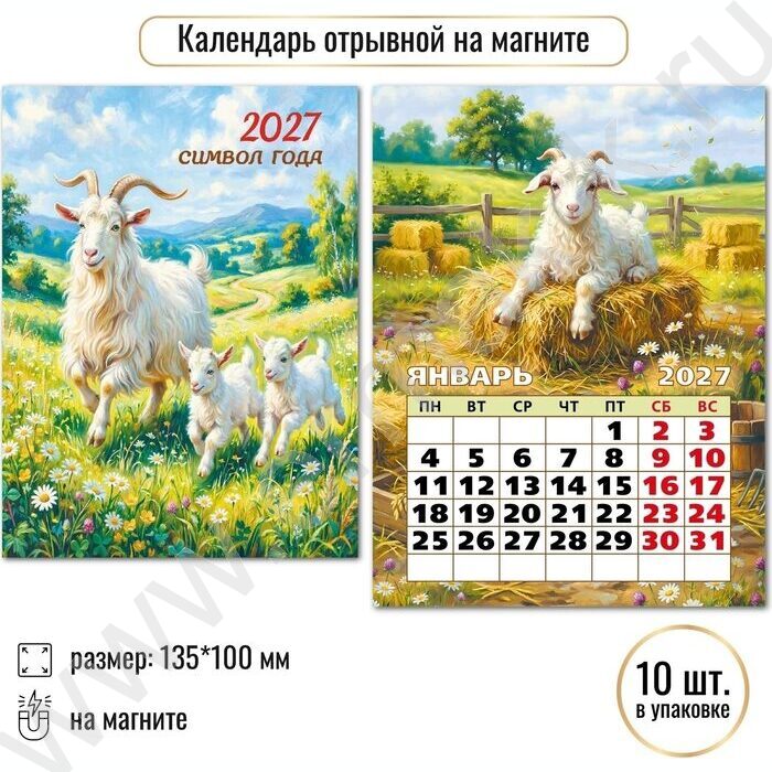 Календарь на магните отрывной 2027г "Символ года" NEW | Фото 3