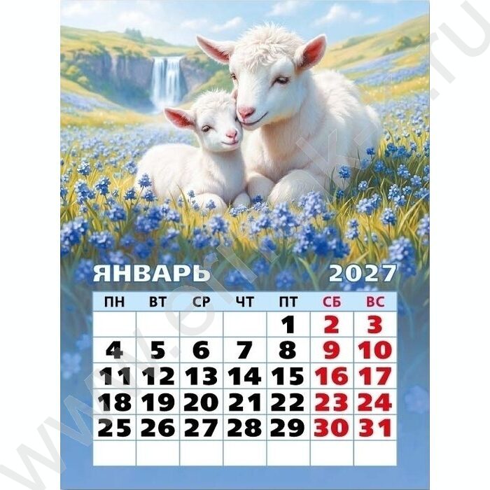 Календарь на магните отрывной 2027г "Символ года" NEW | Фото 2