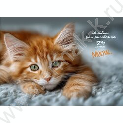 Альбом д/рисования-склейка 24л "Котик-4" NEW | Фото 1