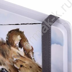 Скетчбук  80л 145х203мм, резинка "Львёнок" 120г/кв.м NEW | Фото 3