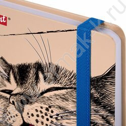 Скетчбук  64л 145х203мм, резинка "Это Кот" 160г/кв.м NEW | Фото 3