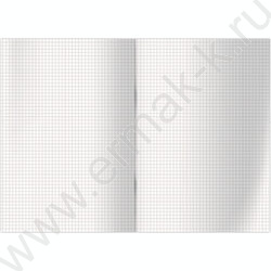 Книга Учёта 144л клетка офсет, 200*290мм, твердая обложка "крафт", блок газетный NEW | Фото 2