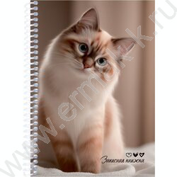 Зап. книжка  80л А5 спираль "Милые коты-7" NEW | Фото 1