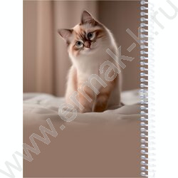 Зап. книжка  80л А5 спираль "Милые коты-7" NEW | Фото 3