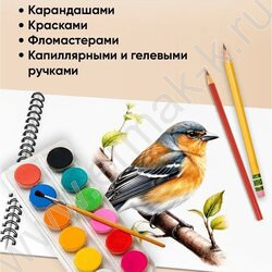 Альбом д/рисования-спираль 40л "Красочный дизайн-1" ассорти NEW | Фото 5