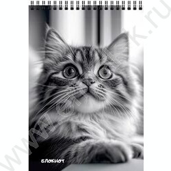 Блокнот  40л А6 спираль "Коты в чёрном-белом" ассорти NEW | Фото 5