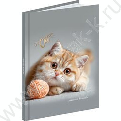 Зап. книжка  64л А6 тв.обл. "Котёнок с клубком" /глянец/ NEW | Фото 1