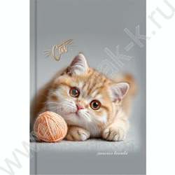 Зап. книжка  64л А6 тв.обл. "Котёнок с клубком" /глянец/ NEW | Фото 2