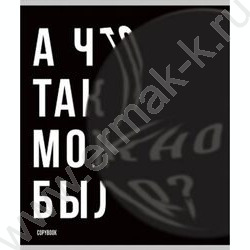 Тетрадь  48л клетка "Надписи-4" /мат.лам.,выб.лак/ ассорти NEW | Фото 3