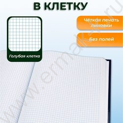 Книга Учёта  96л клетка офсет картон хромер синяя NEW | Фото 2