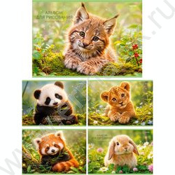 Альбом д/рисования 40л "Милые животные-21" ассорти NEW | Фото 1