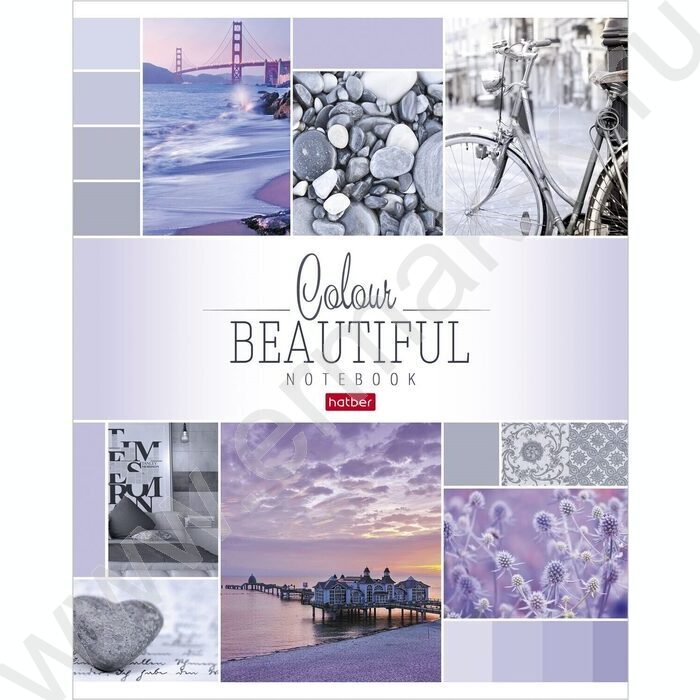 Тетрадь  96л клетка "Beautiful colour" 5видов | Фото 1