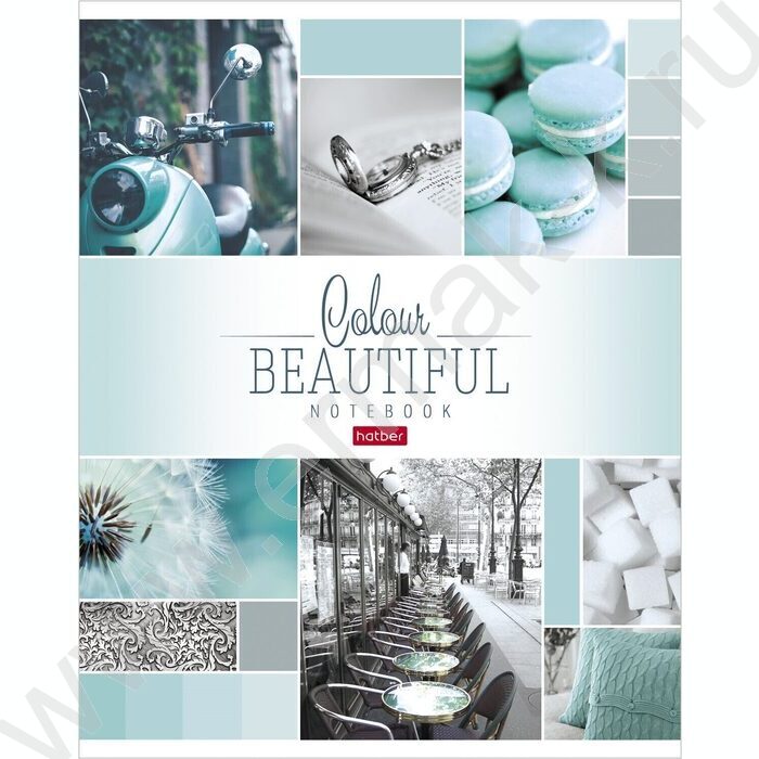 Тетрадь  96л клетка "Beautiful colour" 5видов | Фото 2