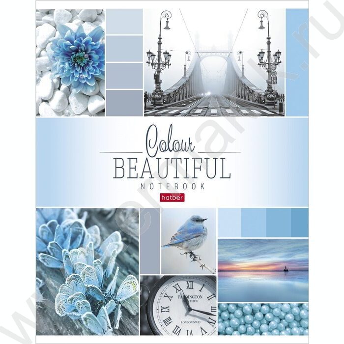 Тетрадь  96л клетка "Beautiful colour" 5видов | Фото 3