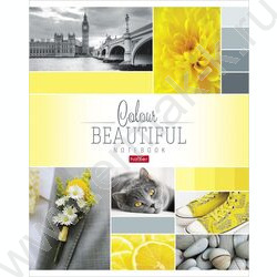 Тетрадь  96л клетка "Beautiful colour" 5видов | Фото 4