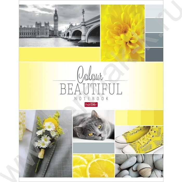 Тетрадь  96л клетка "Beautiful colour" 5видов | Фото 4