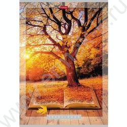 Тетрадь  80л А4 клетка "Книга странствий" | Фото 2