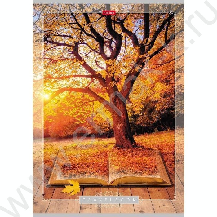 Тетрадь  80л А4 клетка "Книга странствий" | Фото 2